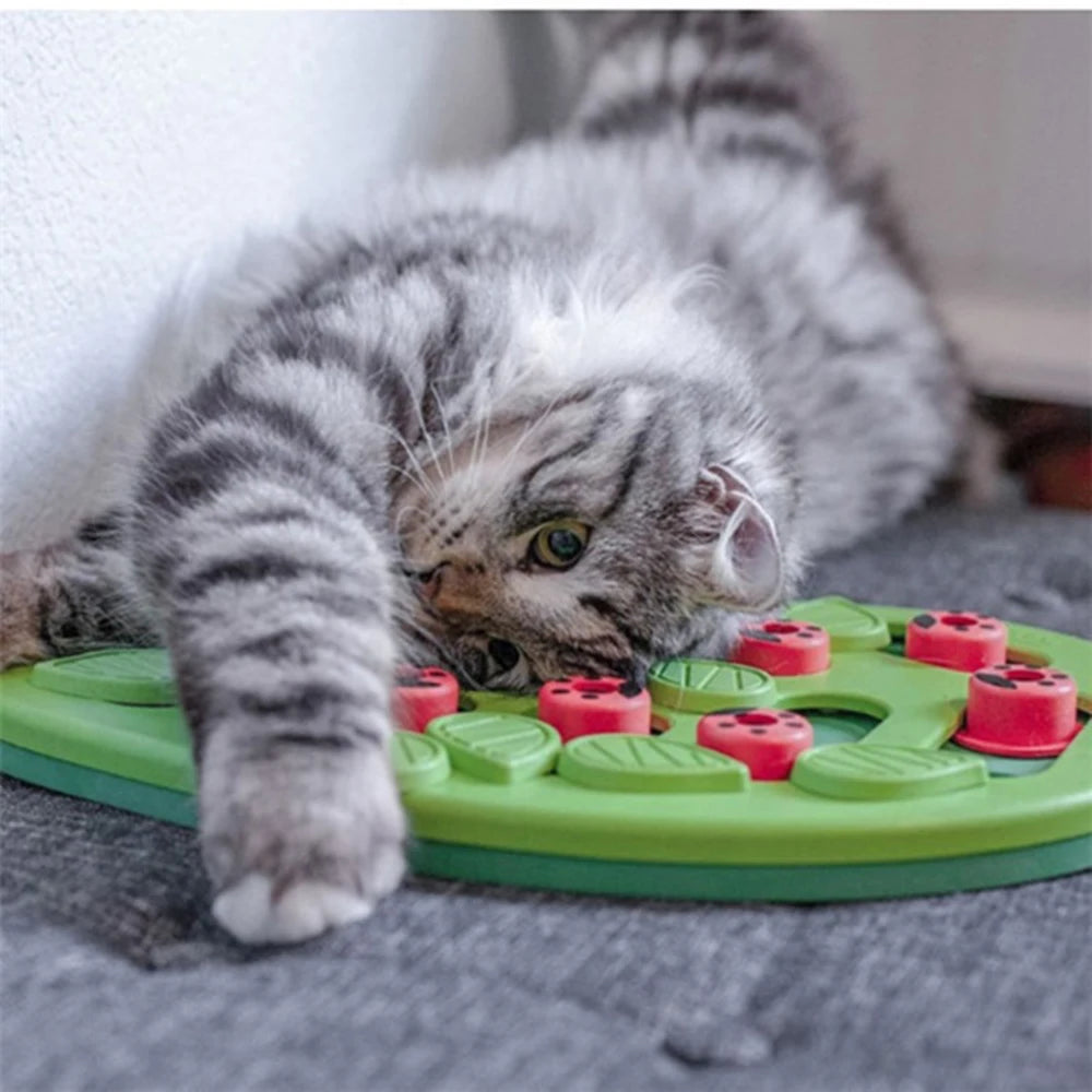 Cat Activity Toy with Food Puzzle and Scratch Feature