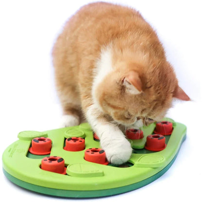 Cat Activity Toy Plastic With Treat Puzzle And Scratch Feature