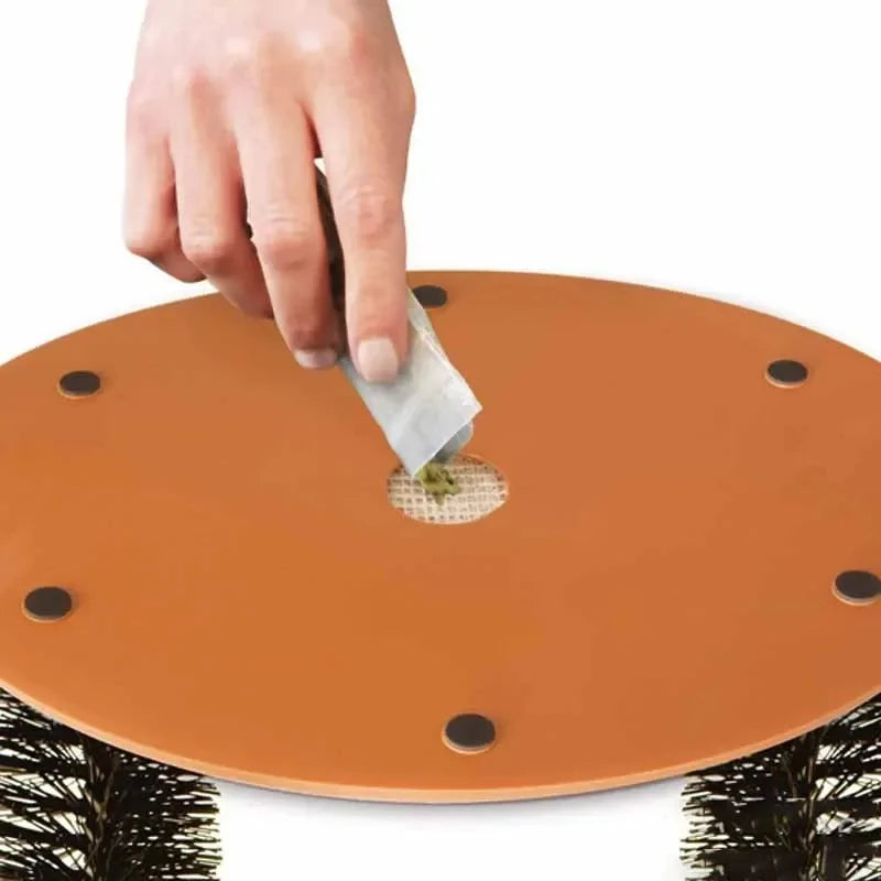 Cat Pamper Toy with Interactive Brush and Scratcher