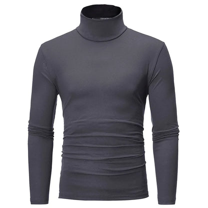 Men's Turtleneck Knit Long Sleeve Pullover Polyester Autumn Winter