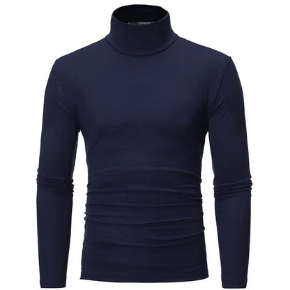 Men's Turtleneck Knit Long Sleeve Pullover Polyester Autumn Winter