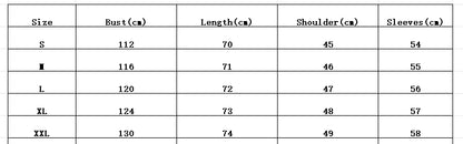 Women Oversize Long Sleeve Button Up Broadcloth Shirt Korean Style