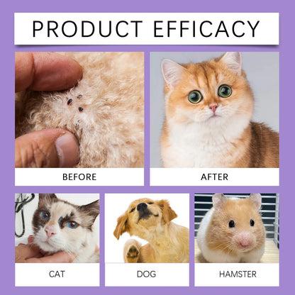 Pet Flea And Tick Repellent Spray 50ml Natural Ingredients Non Irritating