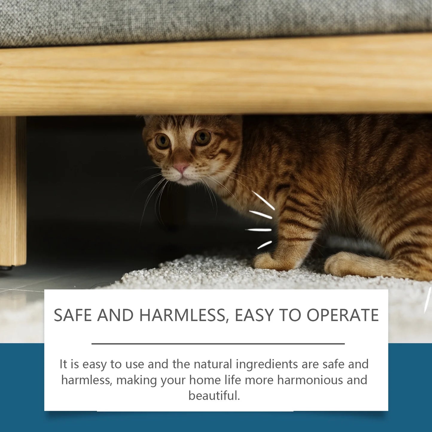 Cat Deterrent Spray Prevent Chewing Biting Restricted Area Behavior Corrector Training Sofa Protector Pet Stop Scratching Spray