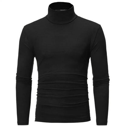 Men's Turtleneck Knit Long Sleeve Pullover Polyester Autumn Winter