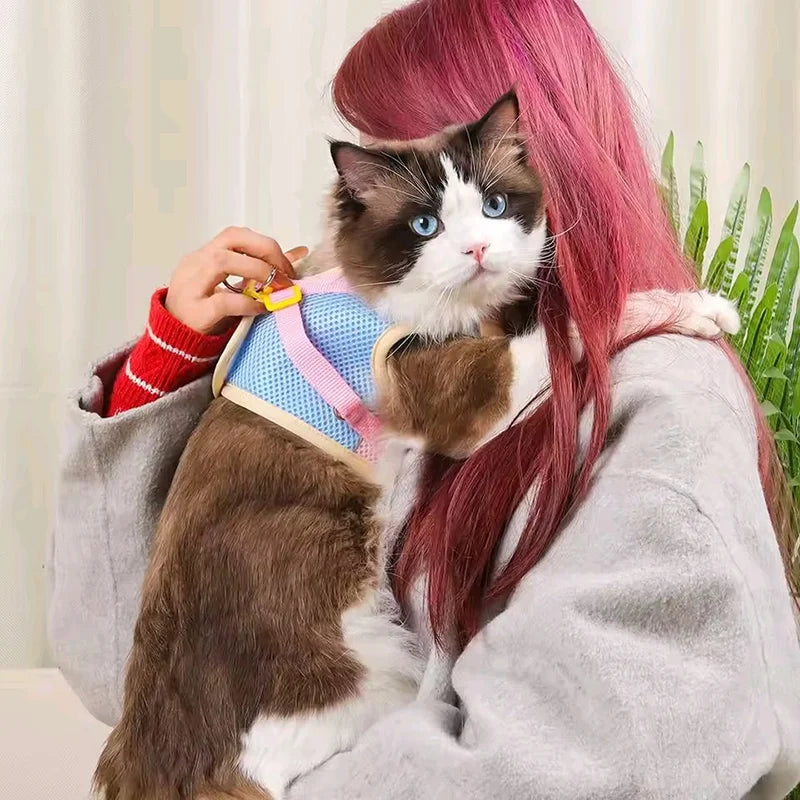 Puppy Dog Reflective Pet Harness And Leash Set For Dog &Cat No Pull Dog Vest Harness With Breathable Mesh Chest Straps