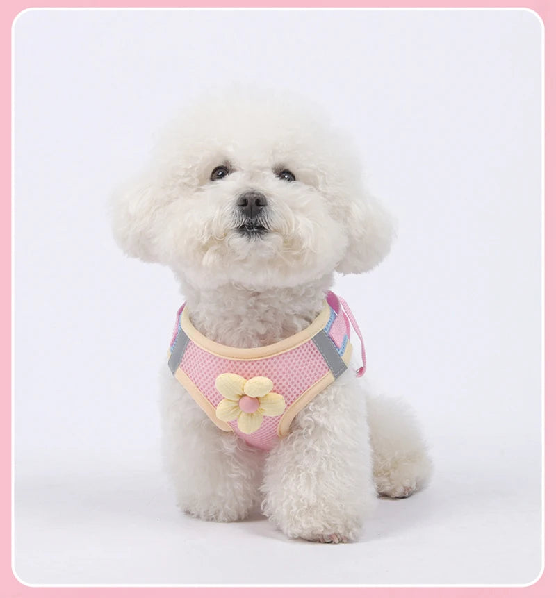 Puppy Dog Reflective Pet Harness And Leash Set For Dog &Cat No Pull Dog Vest Harness With Breathable Mesh Chest Straps