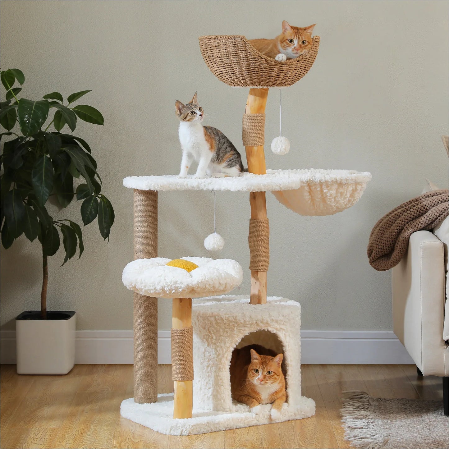 Solid Wood Cat Tree Modern Cat Tower with Spacious Cat Condo,Flower Perches,Fun Pompom,Double Comfort Perfect for Indoor Kittes