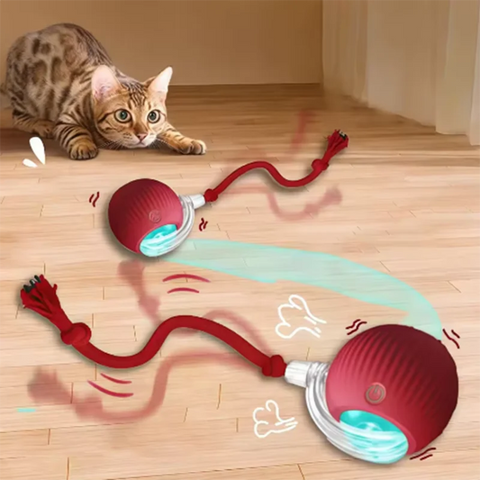 Automatic Teasing Cat Ball & Self-Exciting Cat Stick – Durable Pet Toy