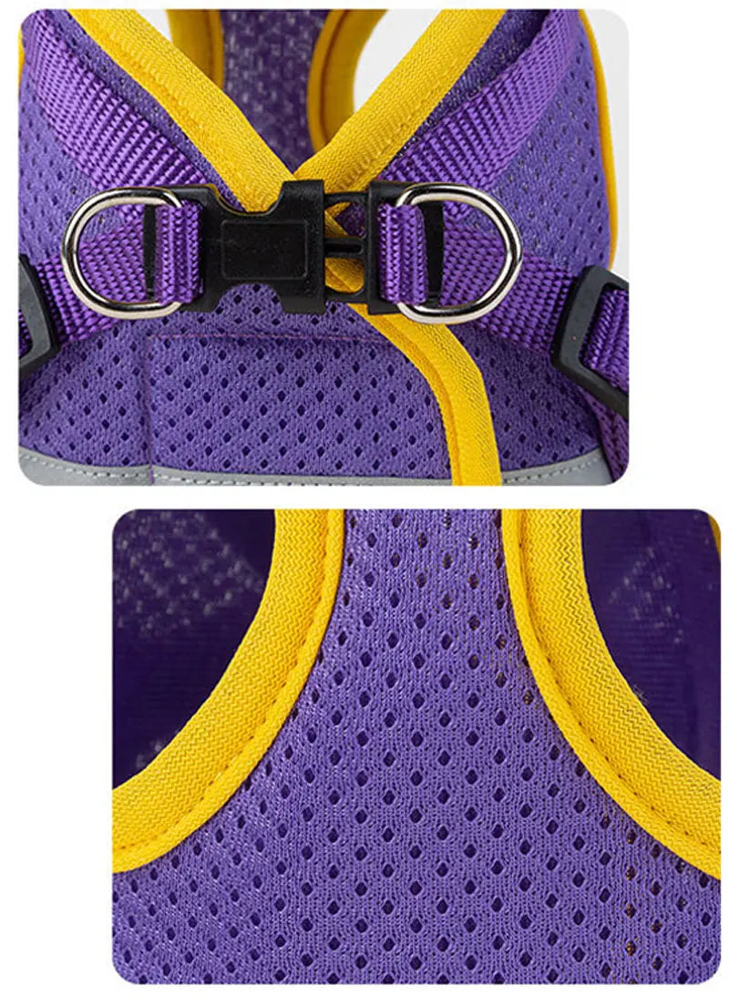 Dog Harness Vest Set for Small Medium Dog Harness Leash Puppy Cat Vest Harness Puppy Pet Kitten Leads Reflective Cats Collar