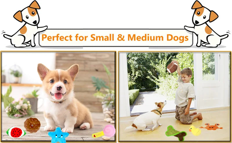 10/20/50 Pack Plush Dog Squeaky Toys – Soft Fleece Chew & Play Toys for Small and Medium Dogs