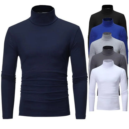 Men's Turtleneck Knit Long Sleeve Pullover Polyester Autumn Winter