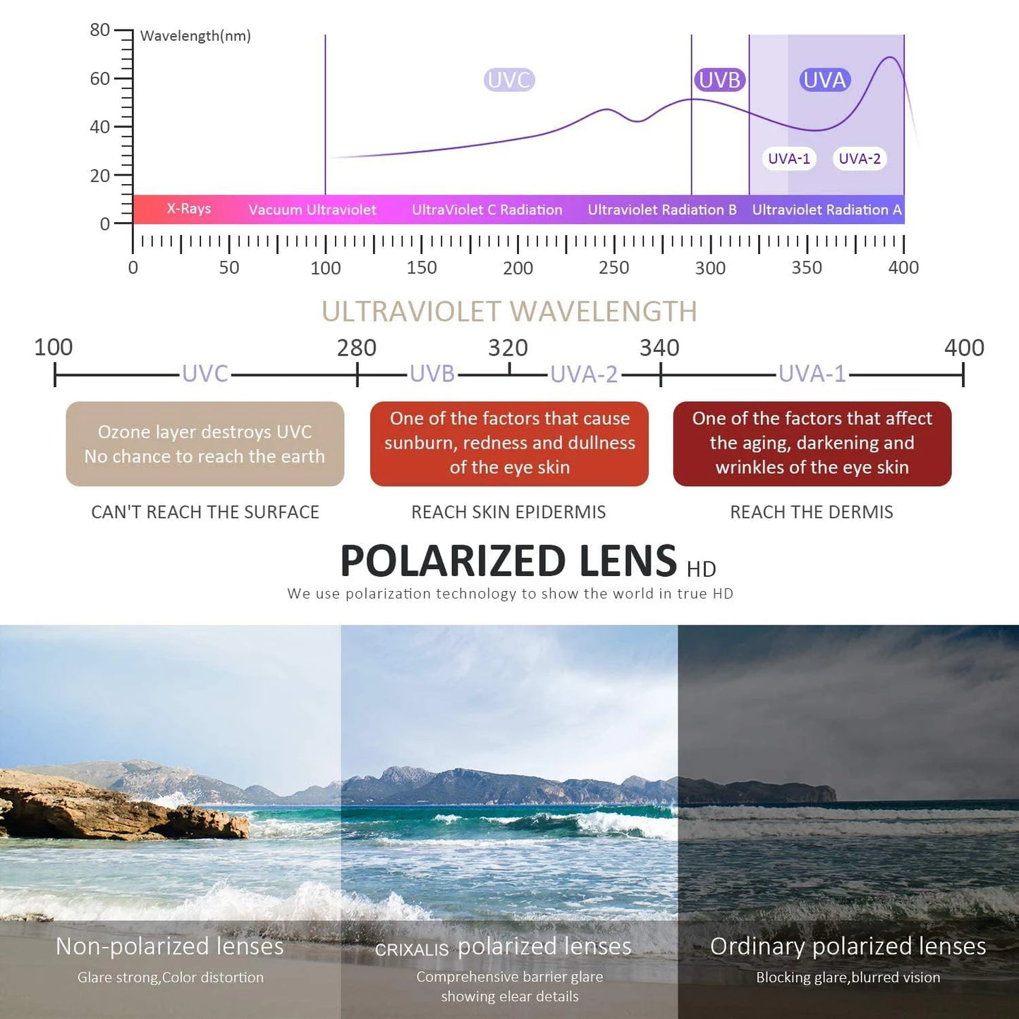 CRIXLAIS Fashion Photochromic Polarized Sunglasses Men Women Oversized Sun Glasses Male Night Vision Driving Goggles UV400