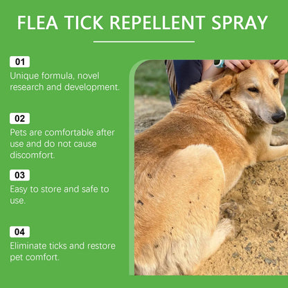 Pet Flea Mite Defense Spray 50ml Plant-Based Hypoallergenic For Dogs And Cats