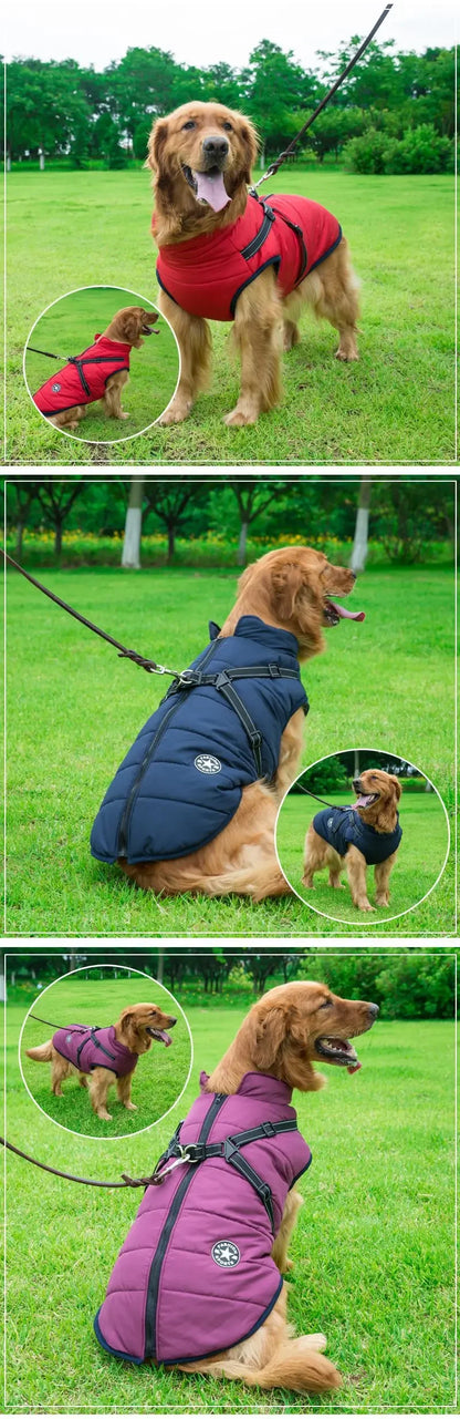 Winter Waterproof Dog Coat With Harness Cotton Inner Outer Layer For Dogs