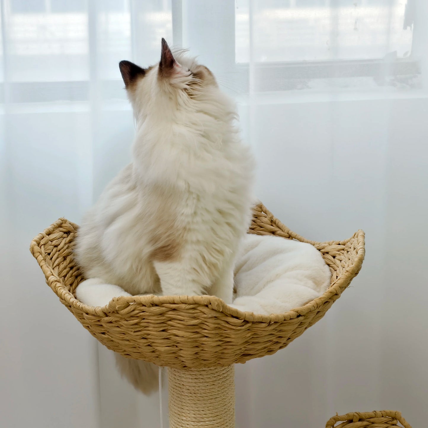 3-Tier Cat Tree Padded Plush Napping Perches Kitten Condo Sisal Rope Scratching Posts and Hanging Toy Tower for Indoor Kitties