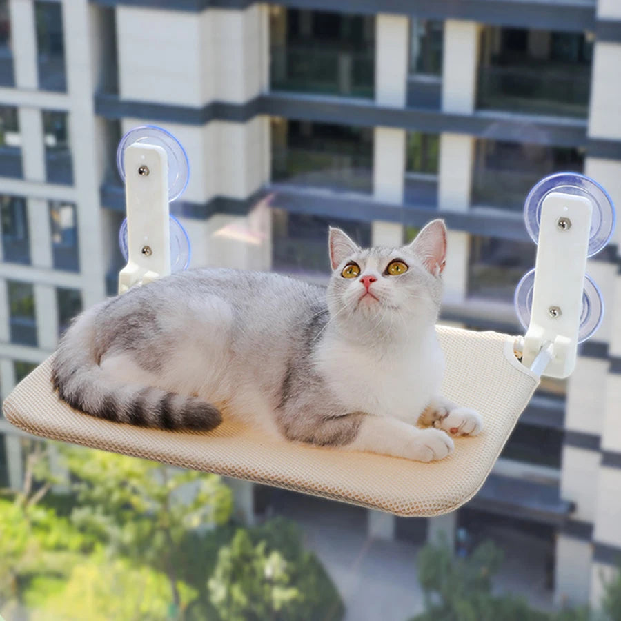 Comfortable Folding Cat Lounge Bed for Windows