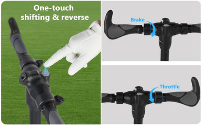 Electric Four Wheel Golf Cart 48V 14Ah Aluminum Alloy Black