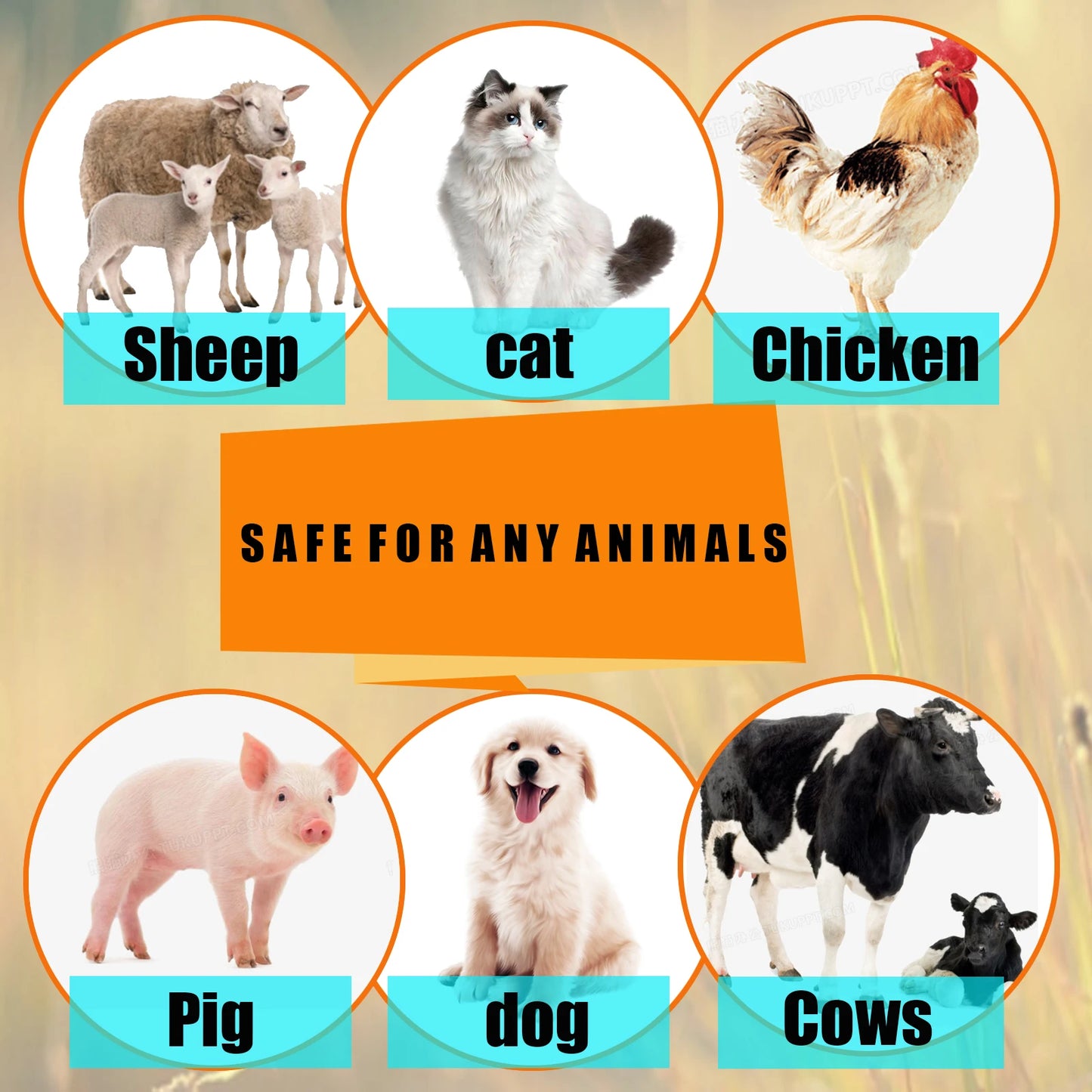 Fast Acting Flea and Tick Spray for Dogs and Cats Flea Treatment for Dogs Tick Repellent Spray Anti Itch Spray Safe & Effective