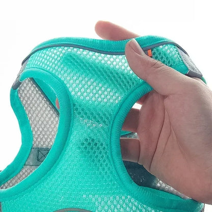 Dog And Cat Harness Vest Set, Adjustable Nylon Reflective