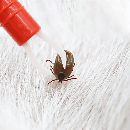 Pet Tick and Flea Remover Tweezer Set 2 To 4 Pieces Plastic