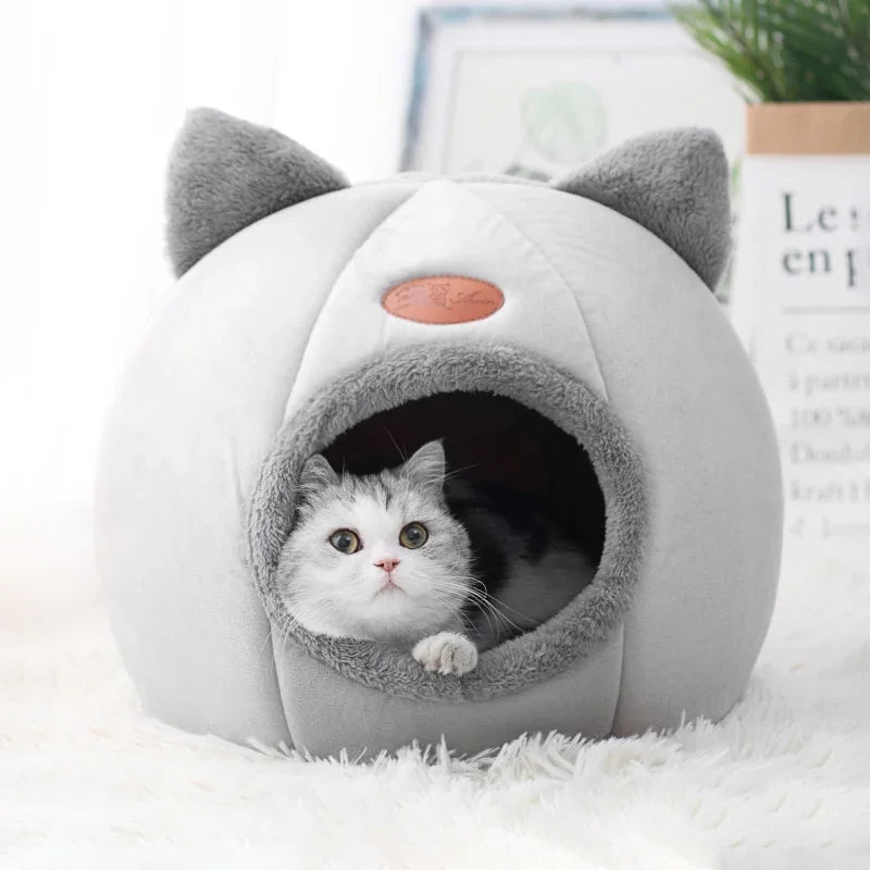 Cozy Tent-Style Pet Mat for Cats and Small Dogs