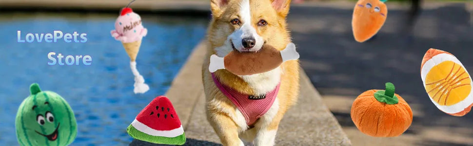 10/20/50 Pack Plush Dog Squeaky Toys – Soft Fleece Chew & Play Toys for Small and Medium Dogs