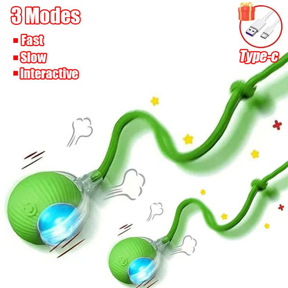 Rolling Ball Toy for Cats and Dogs Rechargeable ABS and Silicone