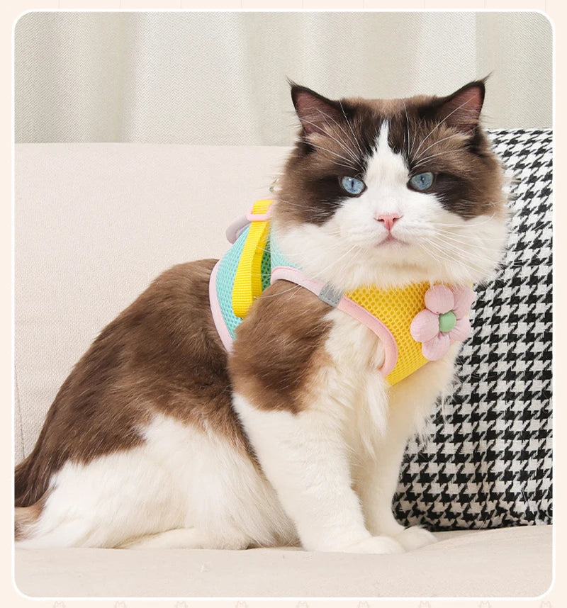 Puppy Dog Reflective Pet Harness And Leash Set For Dog &Cat No Pull Dog Vest Harness With Breathable Mesh Chest Straps