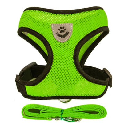 Cat Harness Vest With Leash, Small, Medium, Adjustable Polyester Mesh