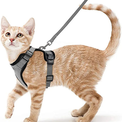 Cat Harness And Leash Set Escape Proof Soft Adjustable Vest Harness