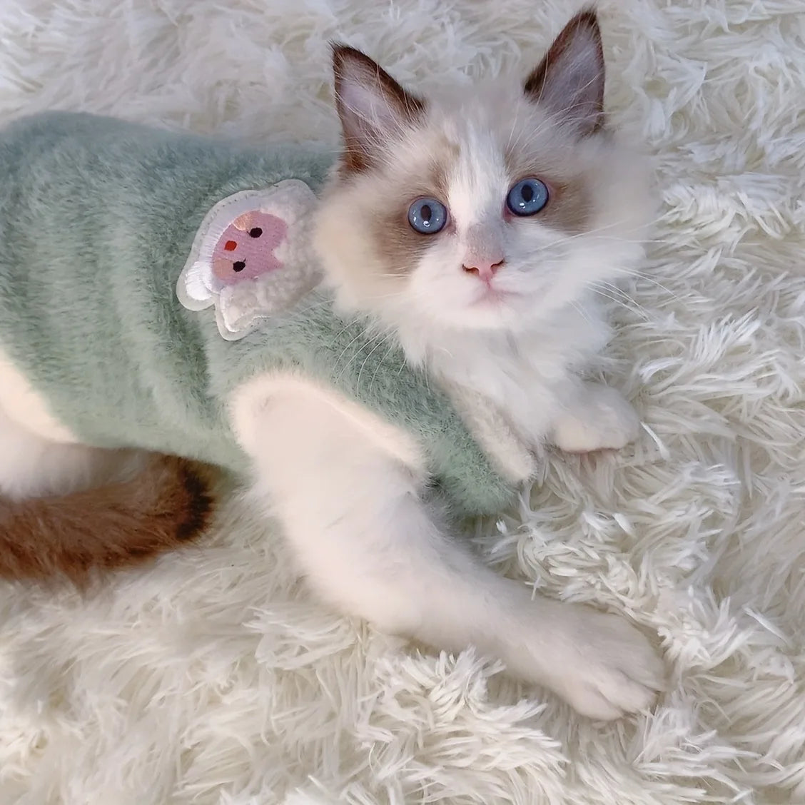 Winter Cat & Small Dog Sweater Vest