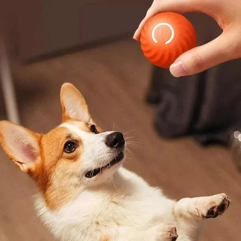 Automatic Moving Dog Toy Ball – Interactive Rolling & Bouncing Chew Toy for Puppies