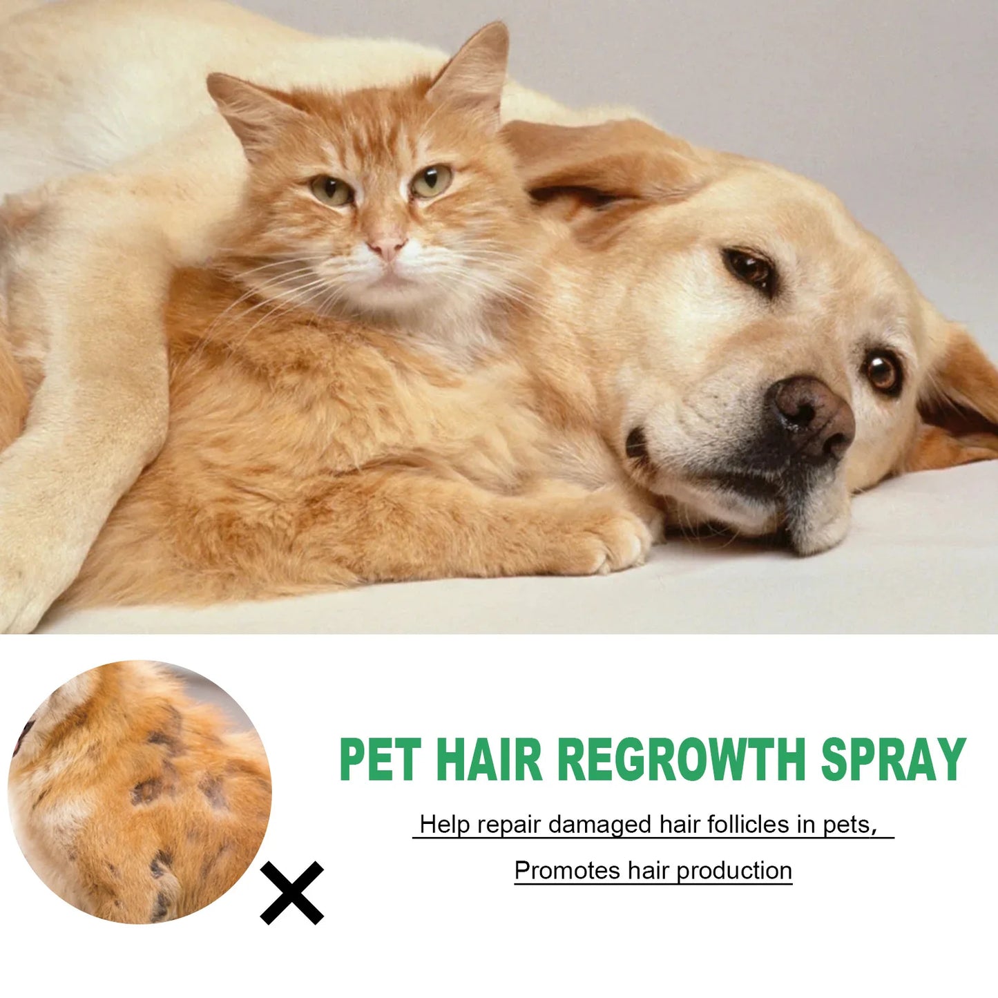 Pet Skin Care Spray Hair Regrowth Itch Relief Mite Removal Deodorization Soothing Anti Flea Lice Insect Killer Pet Moss Spray