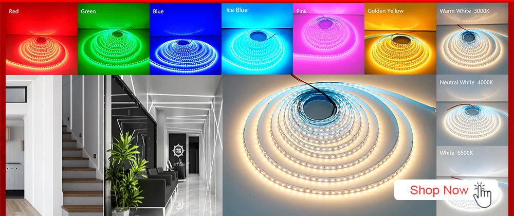 Flexible LED Strip 24V – 5m to 20m, 120 LEDs/m, Soft Lamp Bar