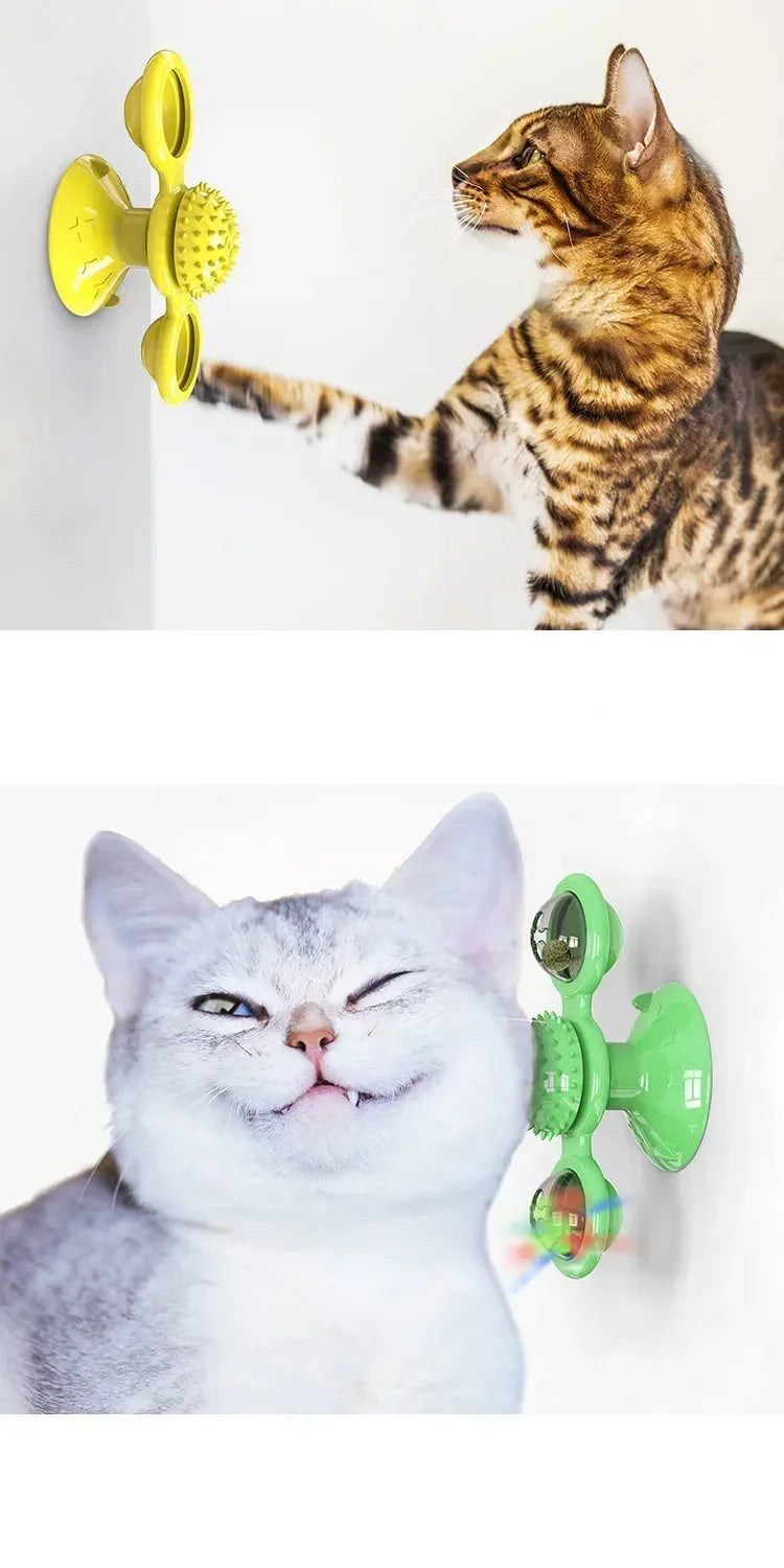 Cat Spinning Turntable Toy