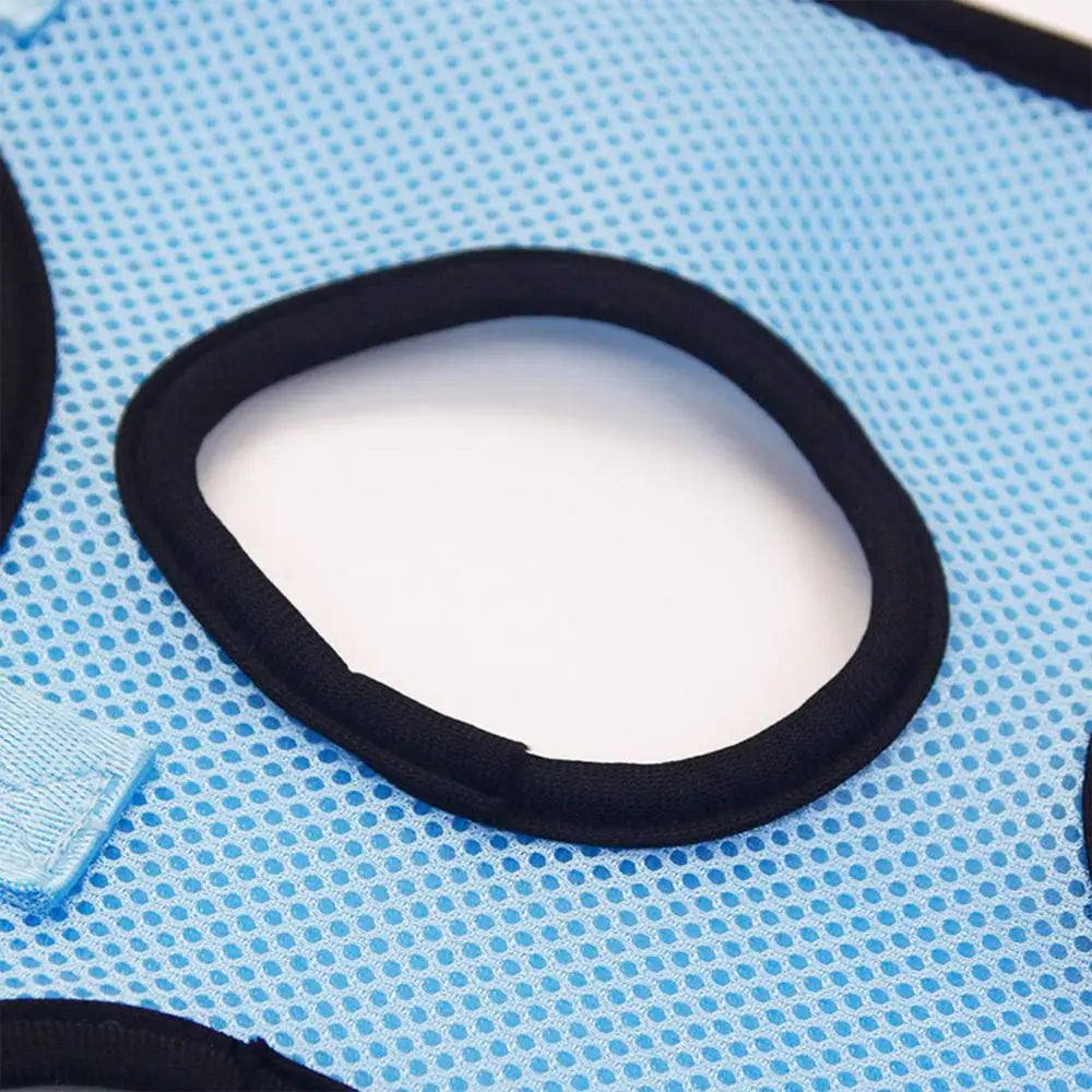 Pet Beauty Hammock for Cats and Dogs with Safety Strap