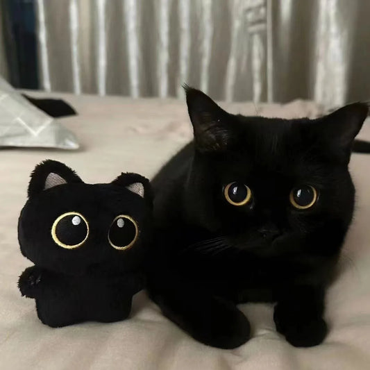 Mini Black Cat Plush Keychain – 10cm Soft Stuffed Toy Gift