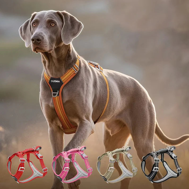 Dog Harnesses Leash Vest With Refletive Strap Pet Chest Pet Dog Training Harness for Medium and Large Dogs Explosion Proof