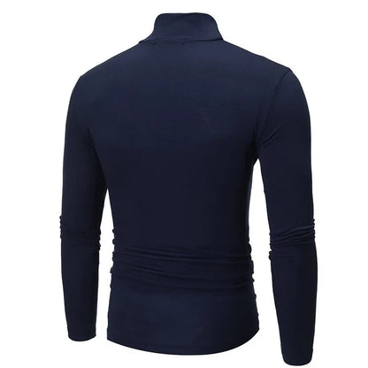 Men's Turtleneck Knit Long Sleeve Pullover Polyester Autumn Winter