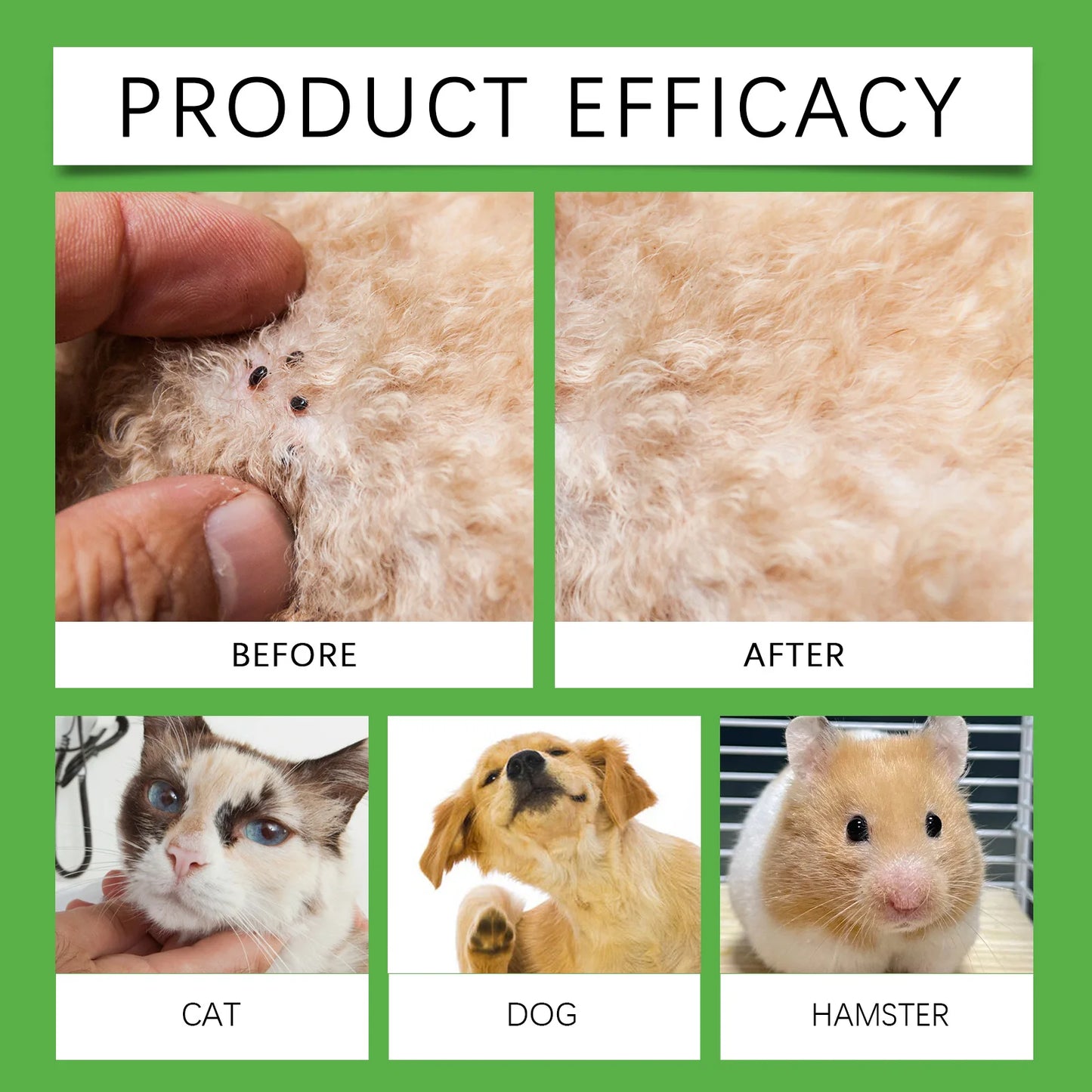 YEGBONG 50ml Pet Flea Mite Defense Spray Hypoallergenic Gentle Coat Care for Dogs and Cats with Non Toxic Plant Based Formula