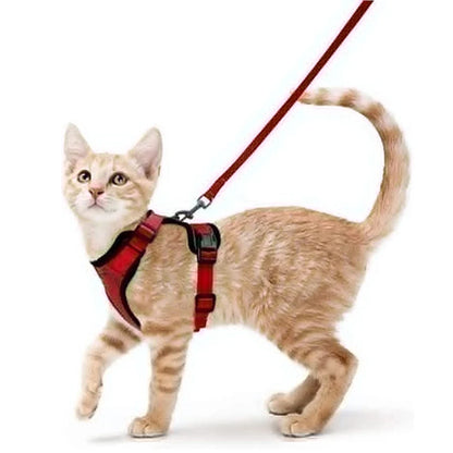 Cat Harness And Leash Set Escape Proof Soft Adjustable Vest Harness