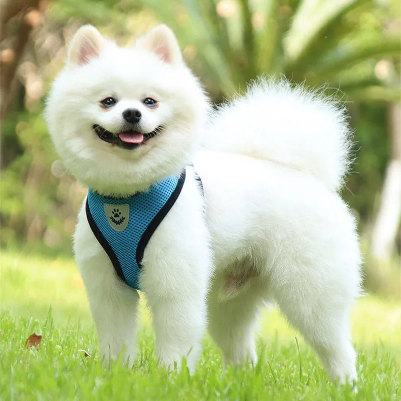 Cat Leash and Harness Cat Tent Kitten Harness Strap for Cats Neck Belt Anti Escape Pets Vest Harness Dog Neck Belt MBD01