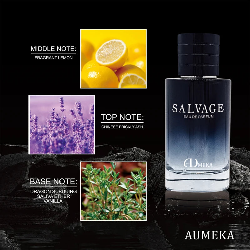 AUMEKA Perfume For Men Original Luxury Arabes Woody Eau De Parfum Man Gift Makeup 100ml AU247
