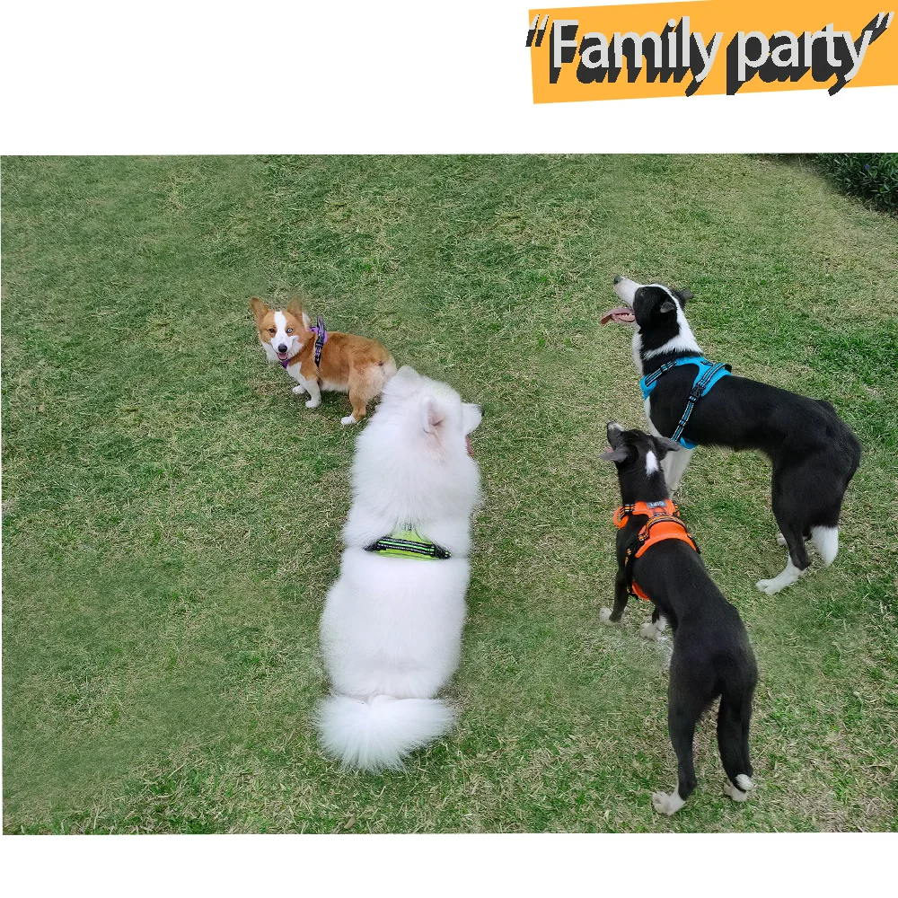 No Pull Dog Harness Front Clip Heavy Duty Reflective Easy Control Handle for Large Dog Walking
