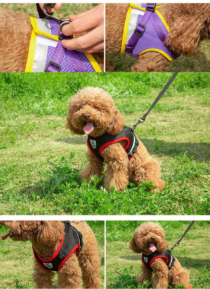 Dog Harness Vest Set With Leash And Collar Reflective Small To Medium Dogs
