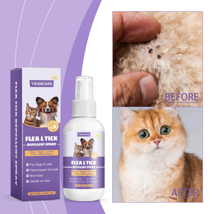 Pet Flea And Tick Repellent Spray 50ml Natural Ingredients Non Irritating