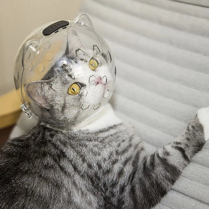 Cat Grooming Hood Breathable PET Transparent Anti Bite Mask